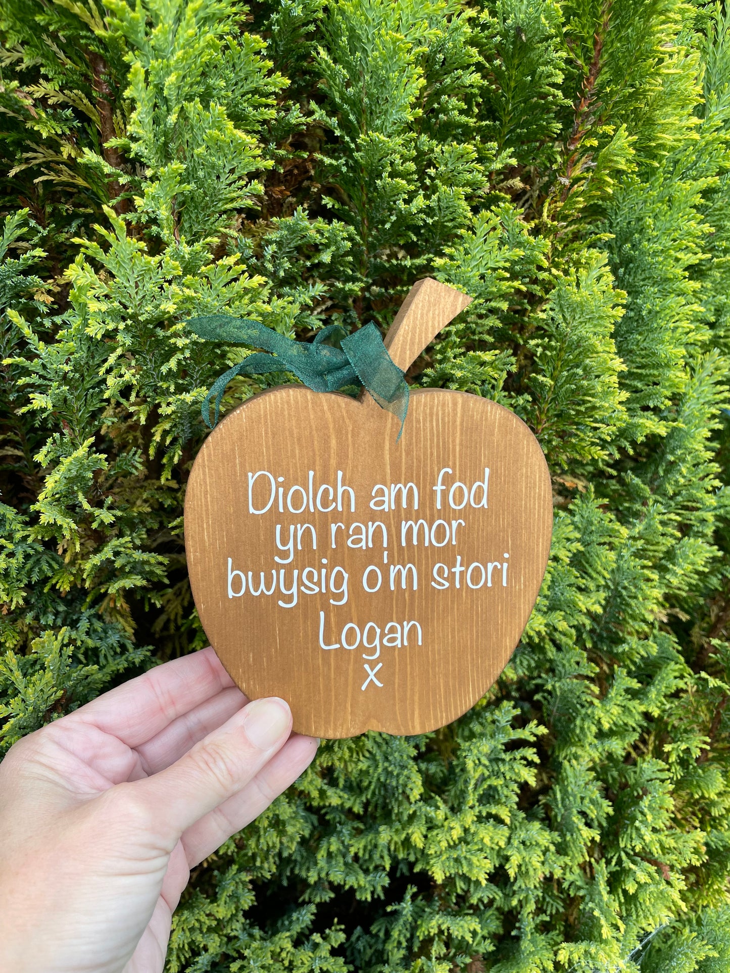 Welsh Wooden Apple Teacher Gift