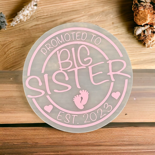 Promoted to Big Sister Pregnancy Announcement